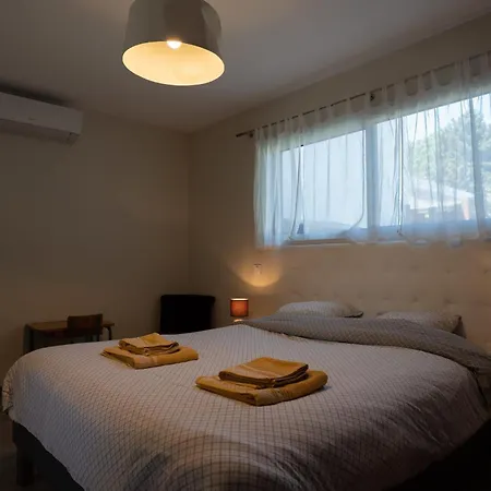 T4bis Climatisee Avec Piscine Privee Et Wifi *